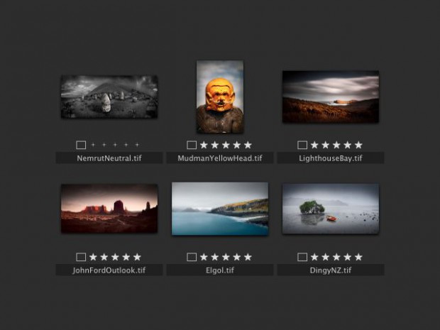 Phase One Media Pro - Kontaktabzug (Bild: Phase One)